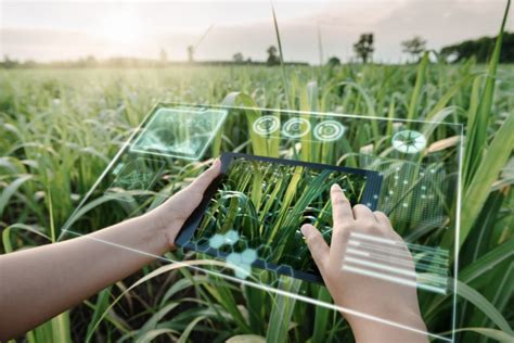 how can artificial intelligence help agriculture