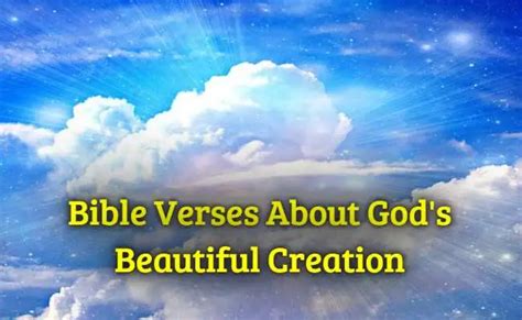 how can christians take care of god's creation today