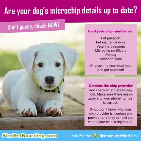 how can i get my dog's microchip number