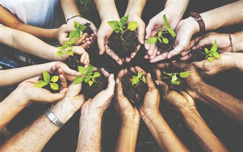 how christians take care of god's creation