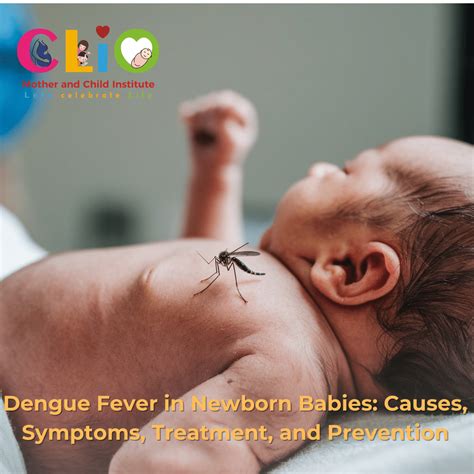 how dangerous is fever in newborn