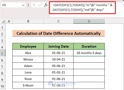 how do i automatically add 1 year in excel