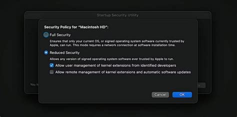 how do i enable kernel extensions on mac