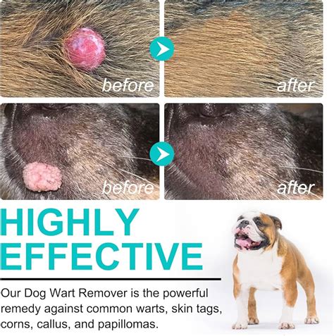 how do i get rid of a skin tag on a dog