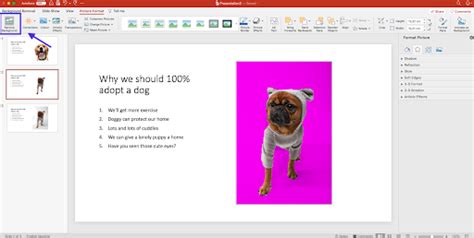 how do i remove a background from an image in powerpoint