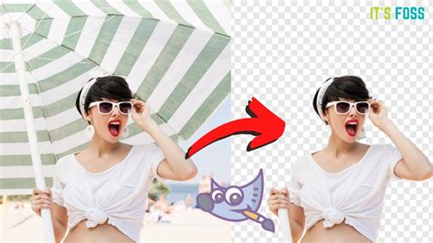 how do i remove the background of an image in gimp