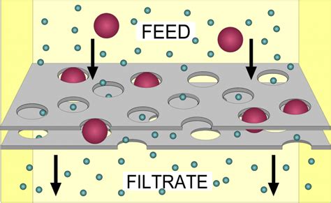 how do particle filters work