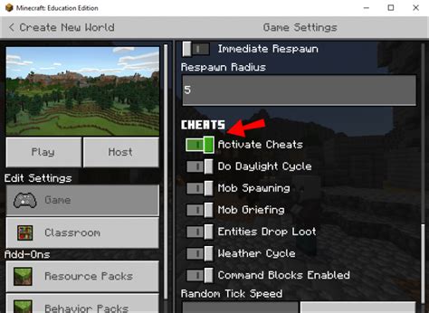 how do you activate cheats in minecraft java