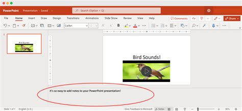 how do you add notes to your slides