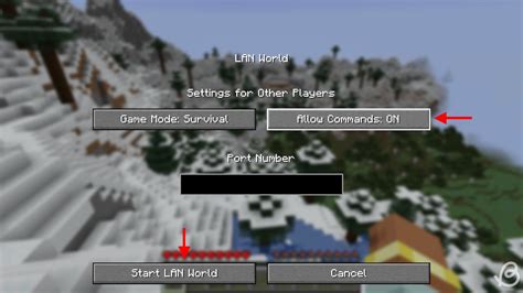 how do you enable cheats in minecraft java
