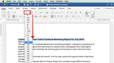 how do you format text change font and font size in ms word
