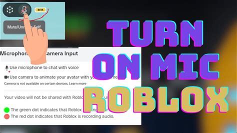 how do you put your microphone on roblox