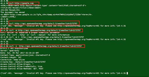 how do you run a curl command