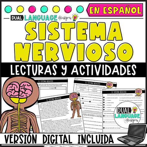 how do you say nervous system in spanish