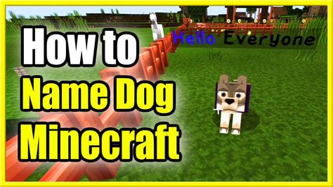 how do you use a name tag on a dog in minecraft