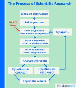 how do you write a hypothesis for a science project