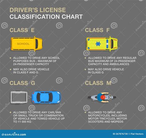 how does a driver's permit work