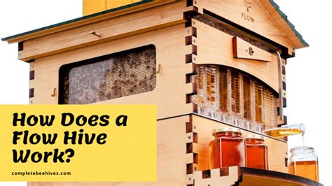 how does a flow beehive work