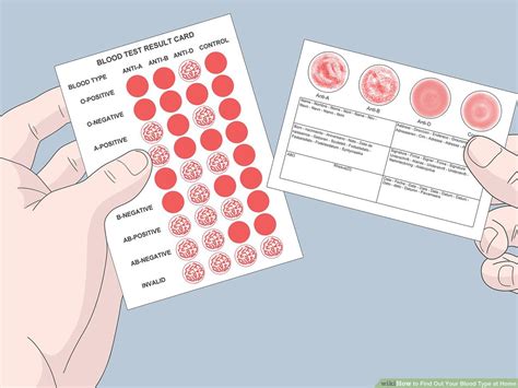 how does a home blood type test work