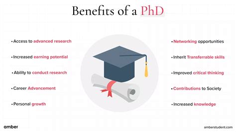how does a phd work in the us