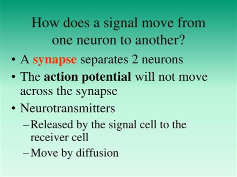 how does a signal travel from one neuron to another