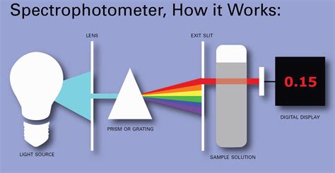 how does a spectrophotometer work in simple terms