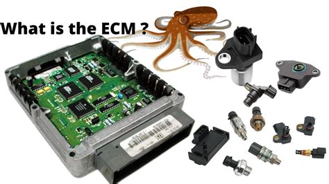 how does an engine control module work
