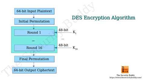 how does data encryption standard des algorithm work