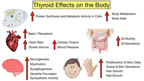 how does hyperthyroidism affect the nervous system