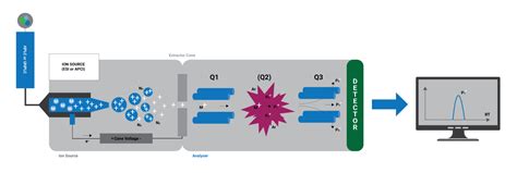 how does ms/ms work