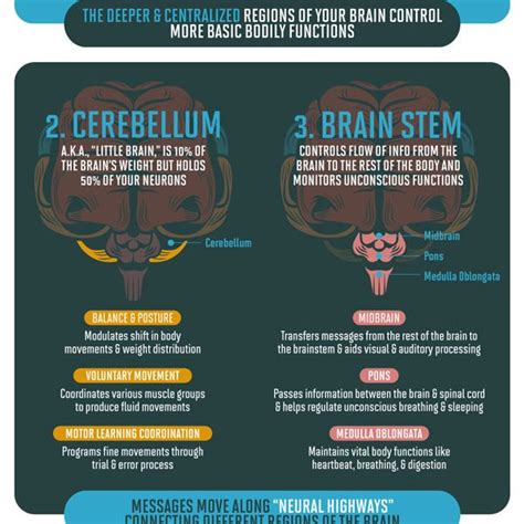how does the brain store data reddit