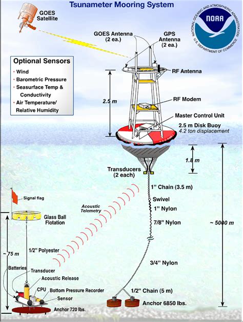 how does the dart tsunami warning system work