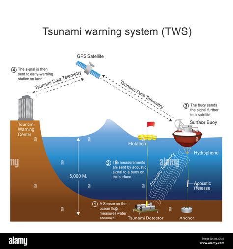 how does the tsunami warning system work