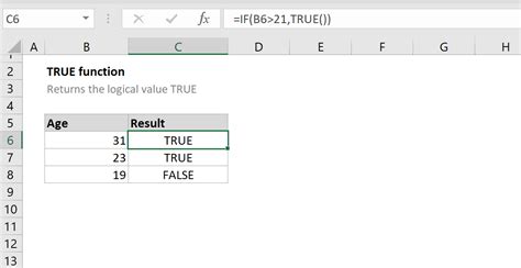 how does true formula work in excel
