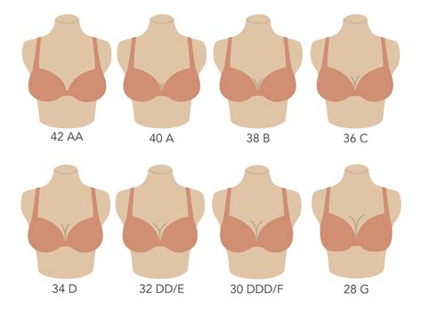how far do bra cups go