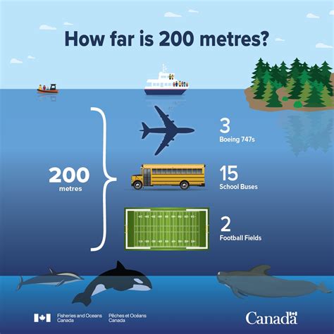 how far is a meter in distance