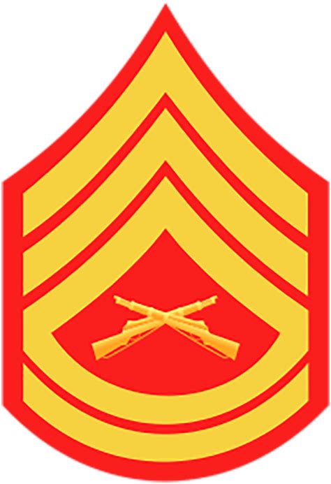 how high up is master sergeant