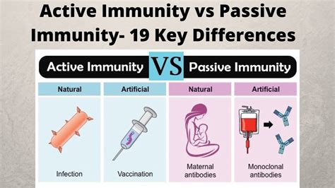 how is active and passive immunity related to vaccinations
