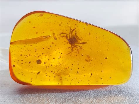 how is amber fossil made