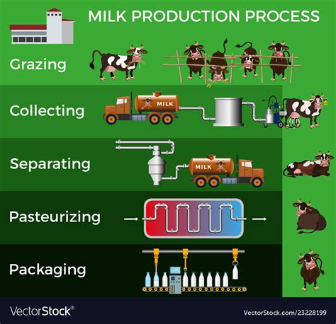 how is milk processed