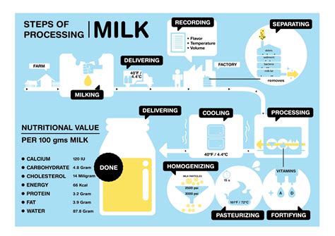 how is milk processed step by step