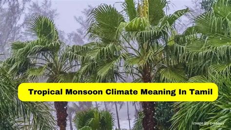 how is the climate meaning in tamil