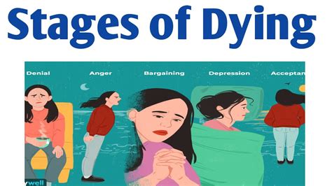 how long do the stages of death last