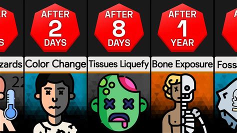 how long does it take for a dead body to change color