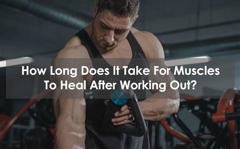 how long does it take for muscles to heal from a workout