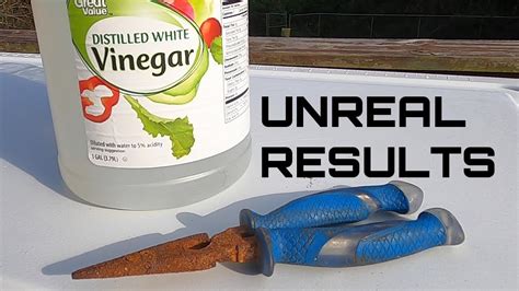 how long does it take for steel wool to rust in vinegar