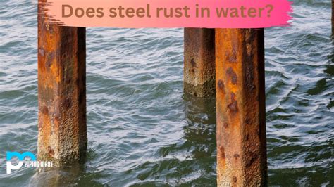 how long does it take for steel wool to rust in water
