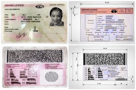 how long does it take to get a driver's license card
