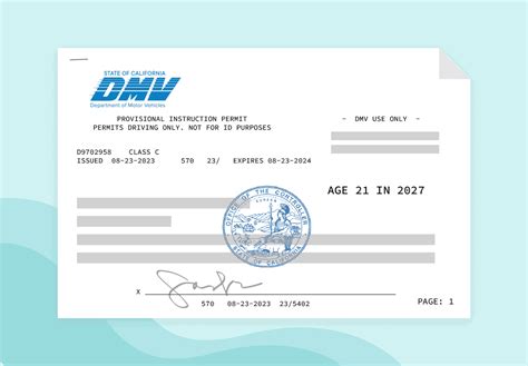 how long does it take to get learner's permit in mail