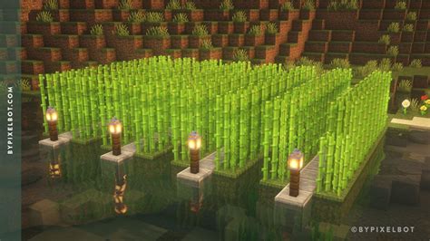 how long does it take to grow sugar cane in minecraft java